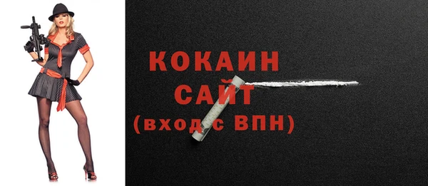стафф Дмитриев