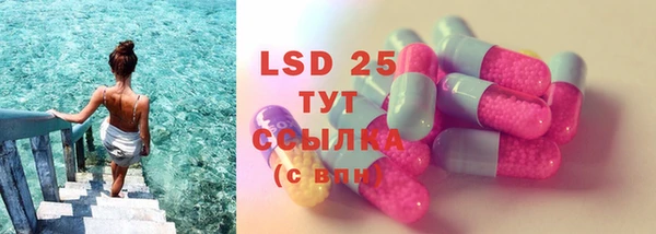 стафф Дмитриев