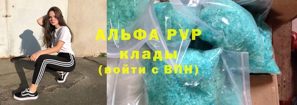 стафф Дмитриев