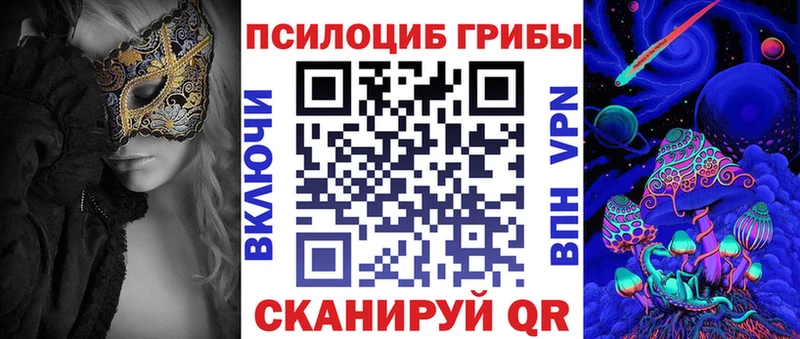 продажа наркотиков  Вытегра  Псилоцибиновые грибы GOLDEN TEACHER 